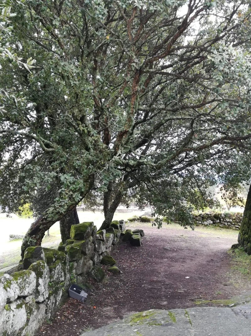 Restaurante Cerdeira