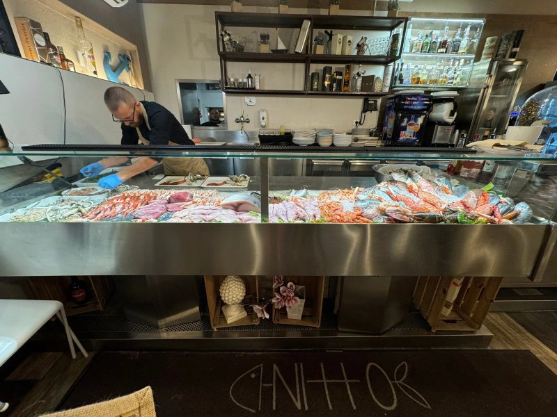 Nitto Taverna Marinara