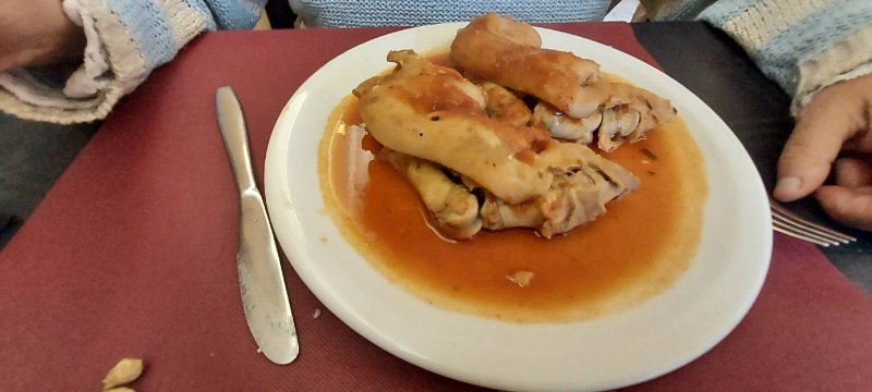 Posada Fonda Finet