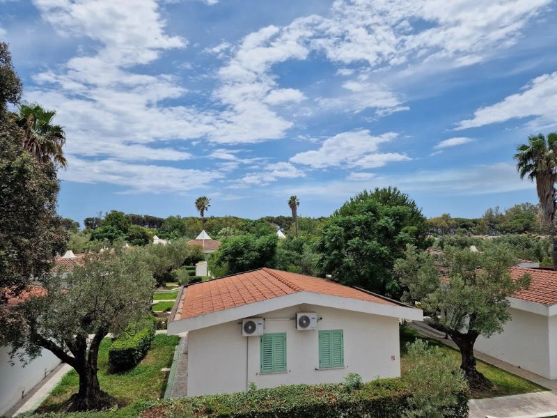 Borgo degli Ulivi