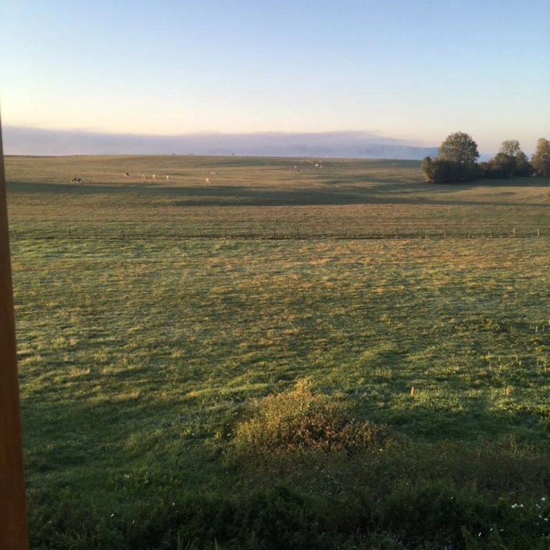 La Ferme du Bois Joli