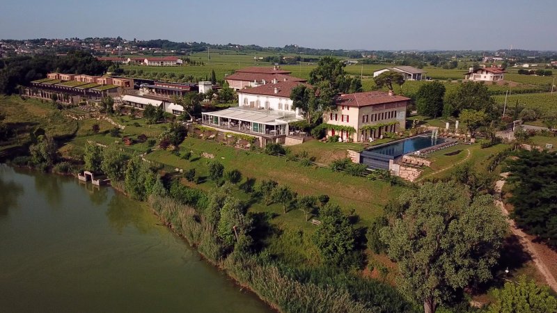 Le Ali Del Frassino