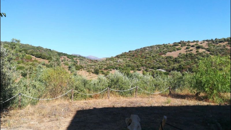 Affittacamere l'Oasi di Gino