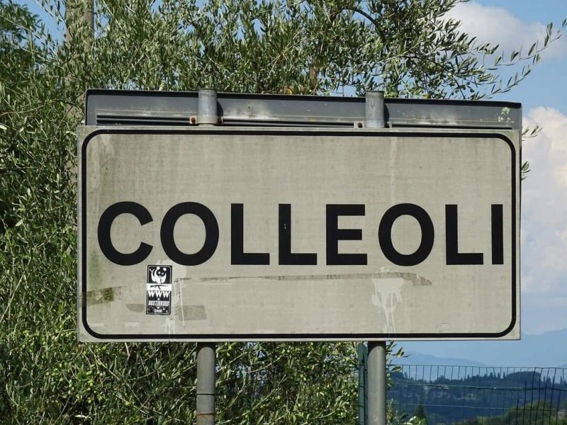 Fattoria Di Colleoli