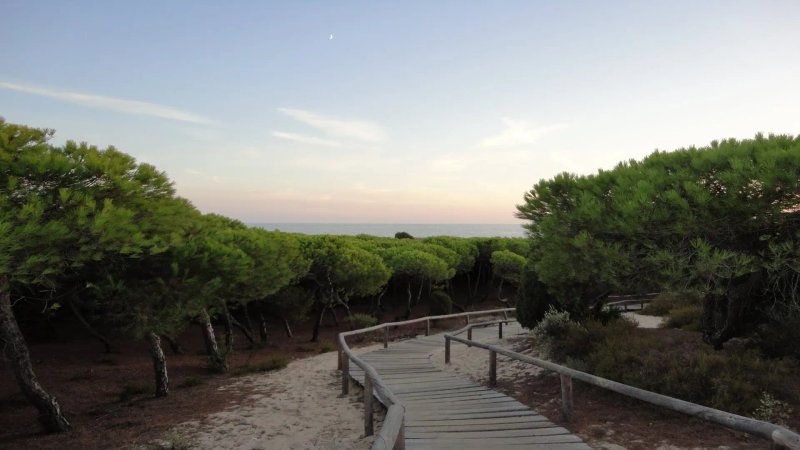 Apartamentos Leo Punta Umbria