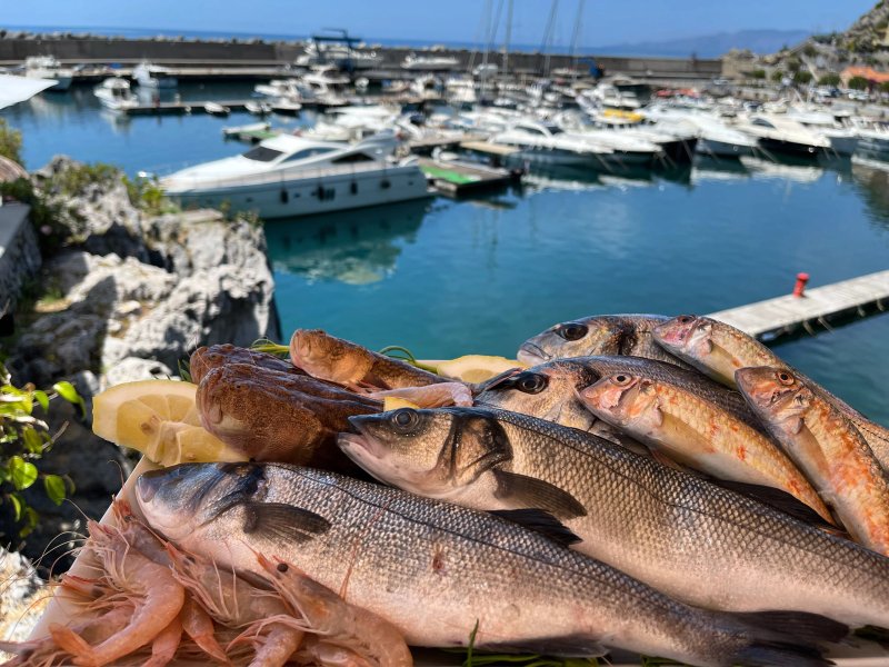 Tre Nodi - Ristorante sul Porto di Maratea