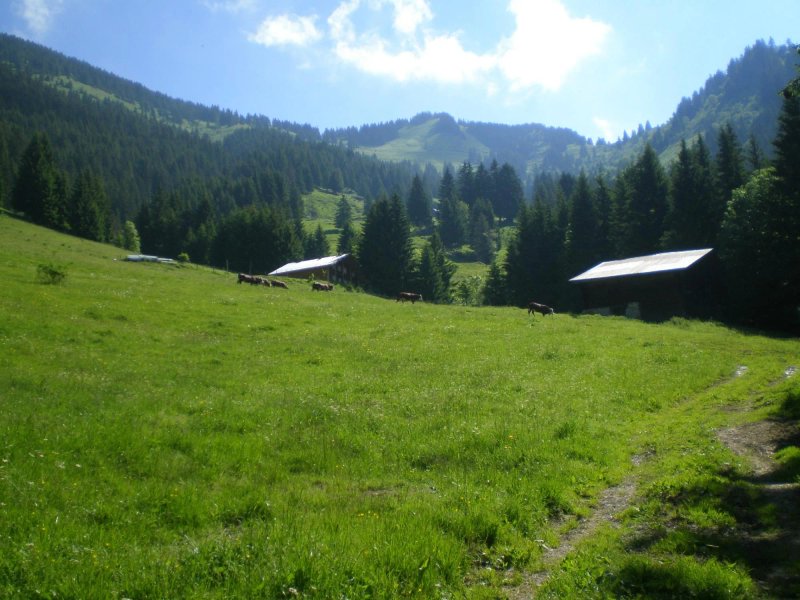 La Petite Bergerie