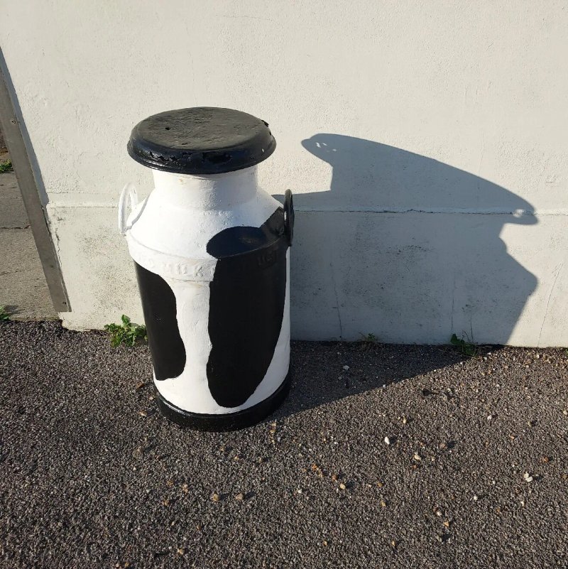 The Spotted Cow