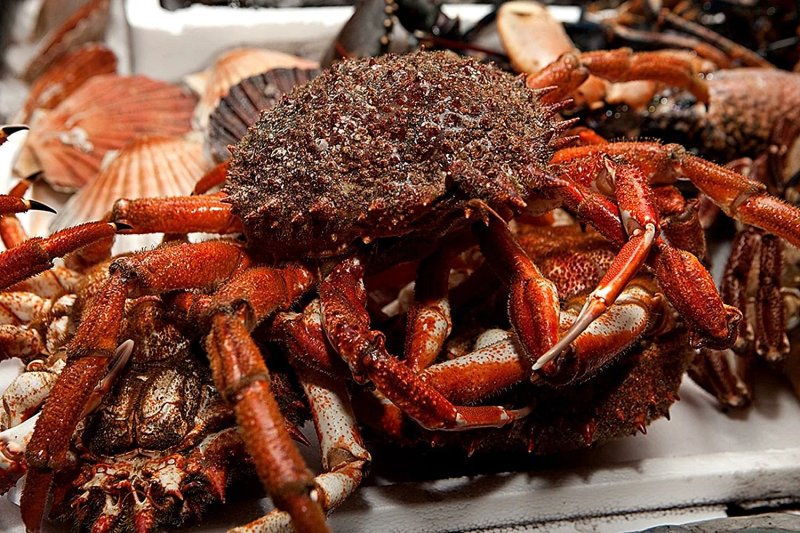 Restaurante O Rei Pescador