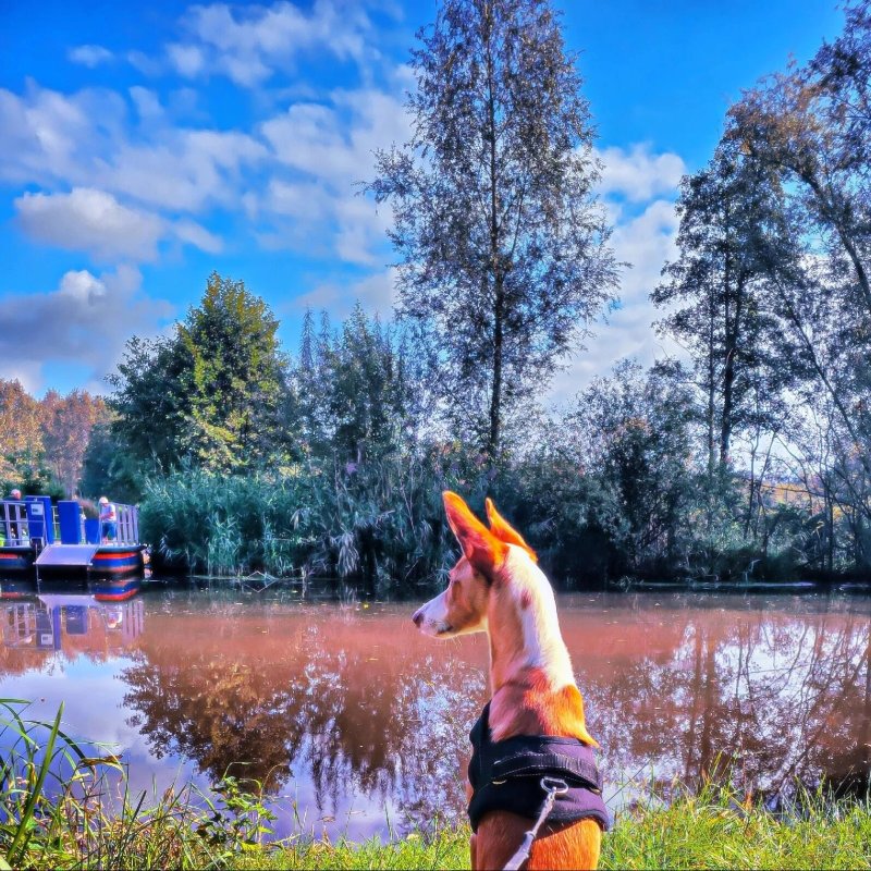 Vakantiepark Molke