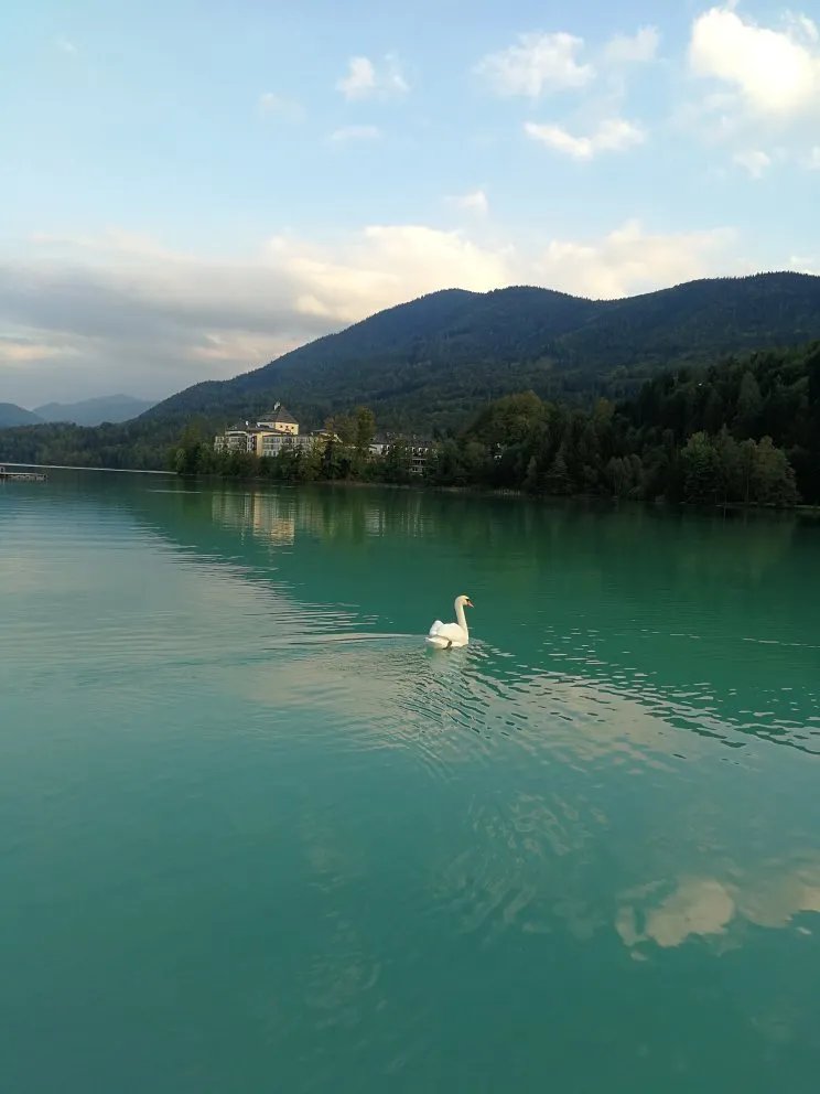 Naturstrandbad Fuschlsee