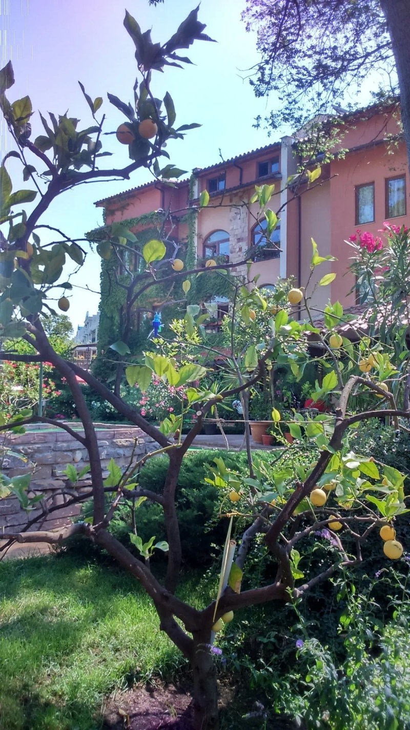 Oleander House and Tennis Club