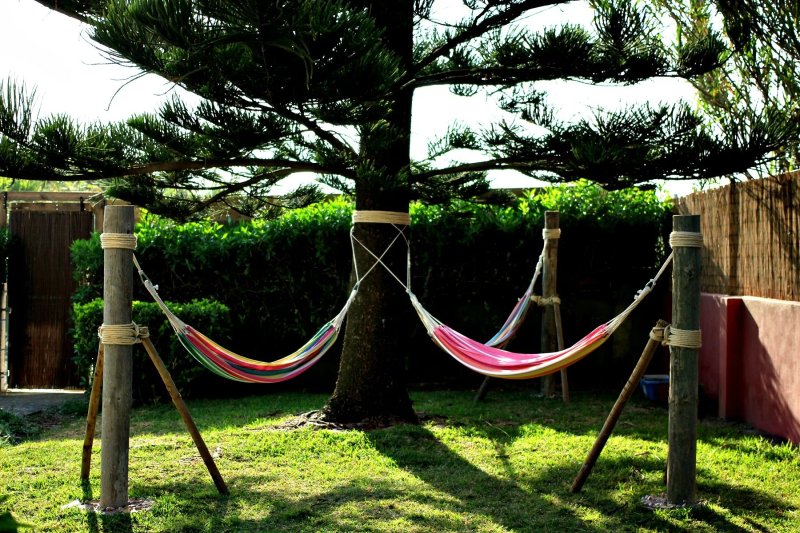 Star Pine Lodge