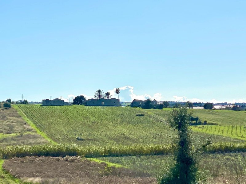 Kapuhala Sicily