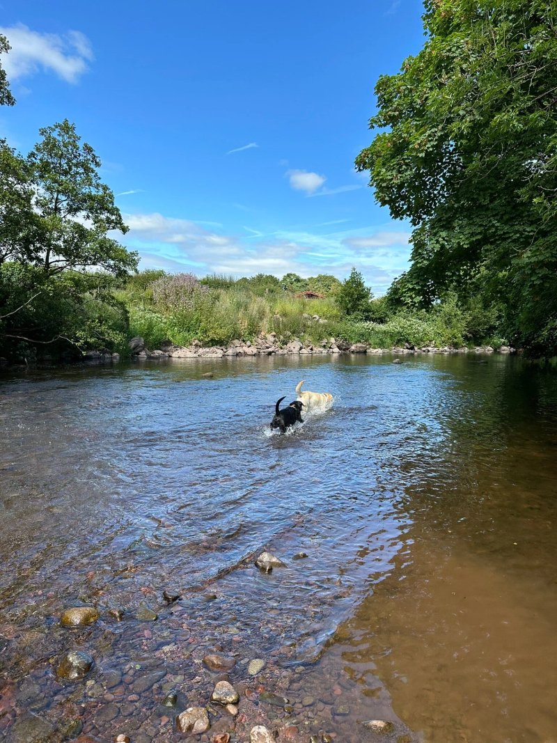 Aberbran Fawr Campsite