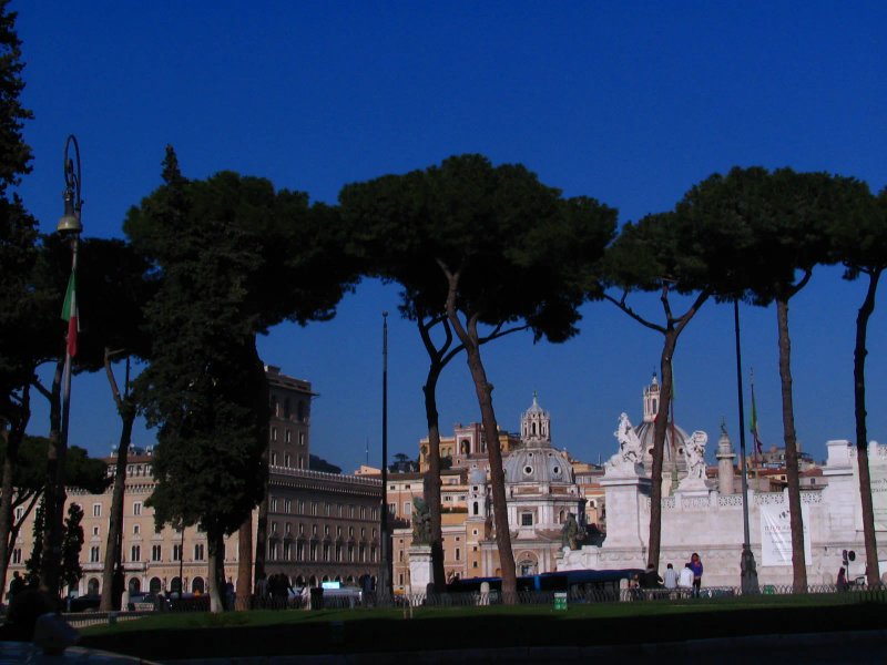 VITO AND SONS TOURS