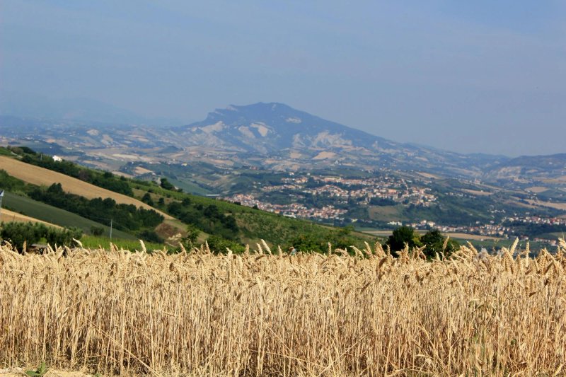 Bed and Breakfast Verdi Colline