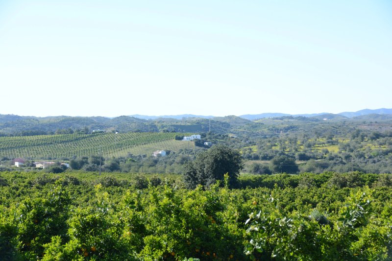 Quinta da Capelinha Agroturismo