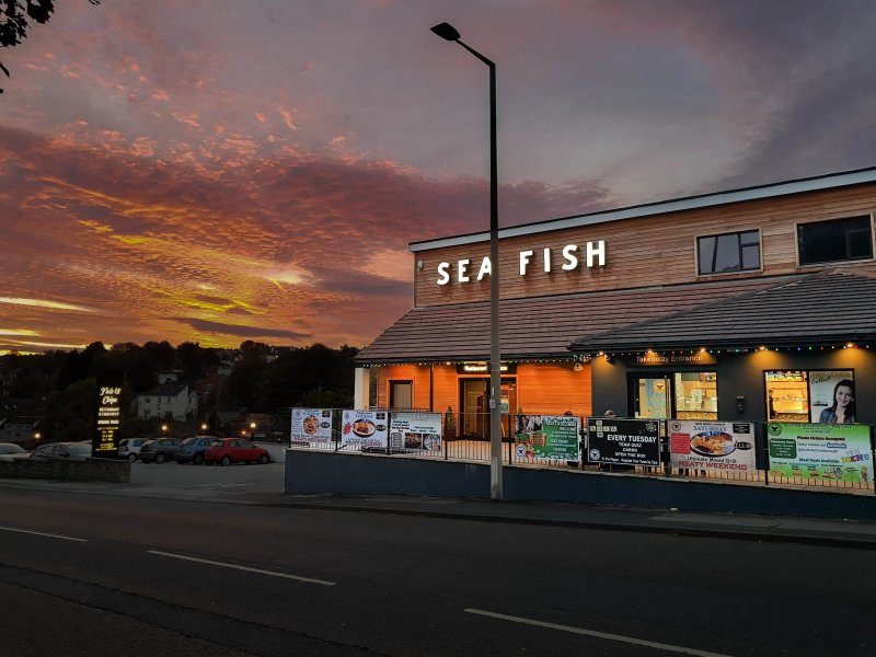 Sea Fish