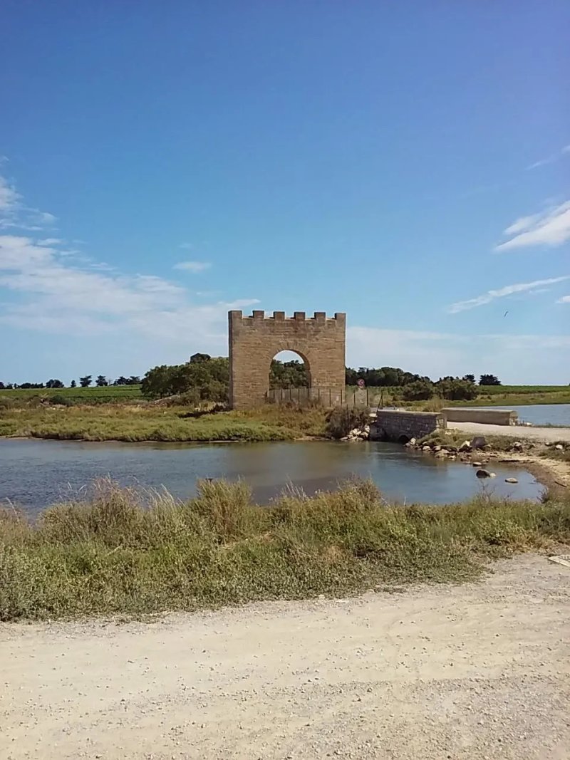 Camping L'Olivier