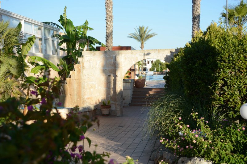Hotel Arenas de Son Bou