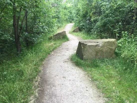 Trans Pennine Trail