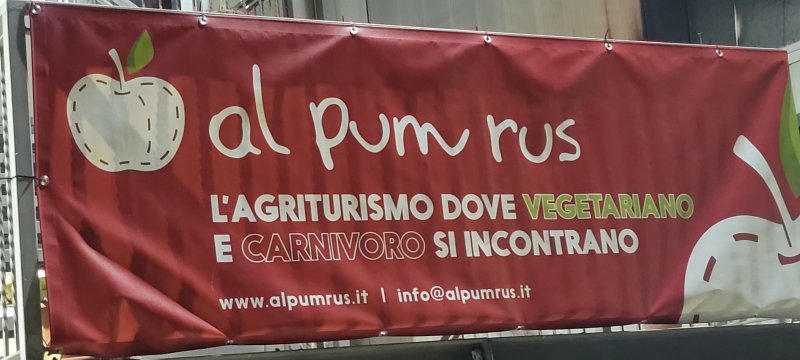Vercelli