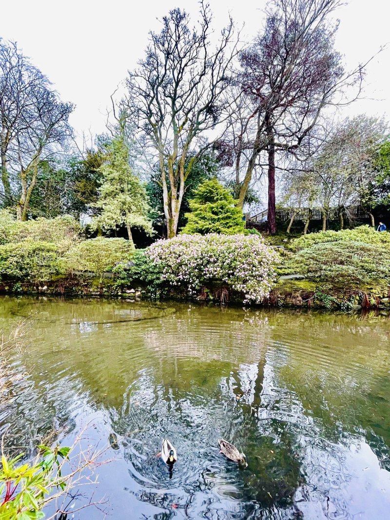 Johnston Gardens