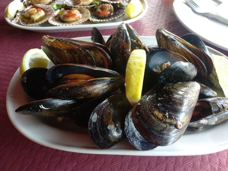 Cafe Restaurante Puente
