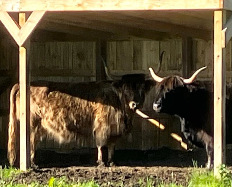 Smiddy Farm Shop