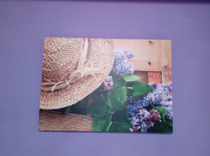 B&b L'arseni 1921