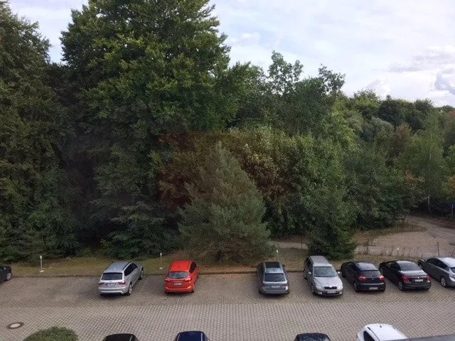 Waldhotel Wandlitz
