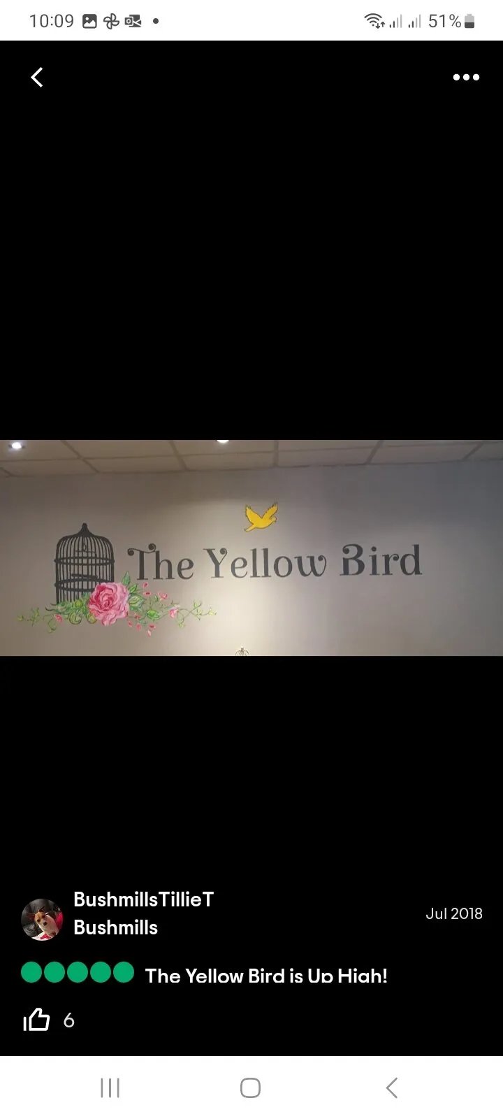 The Yellow Bird