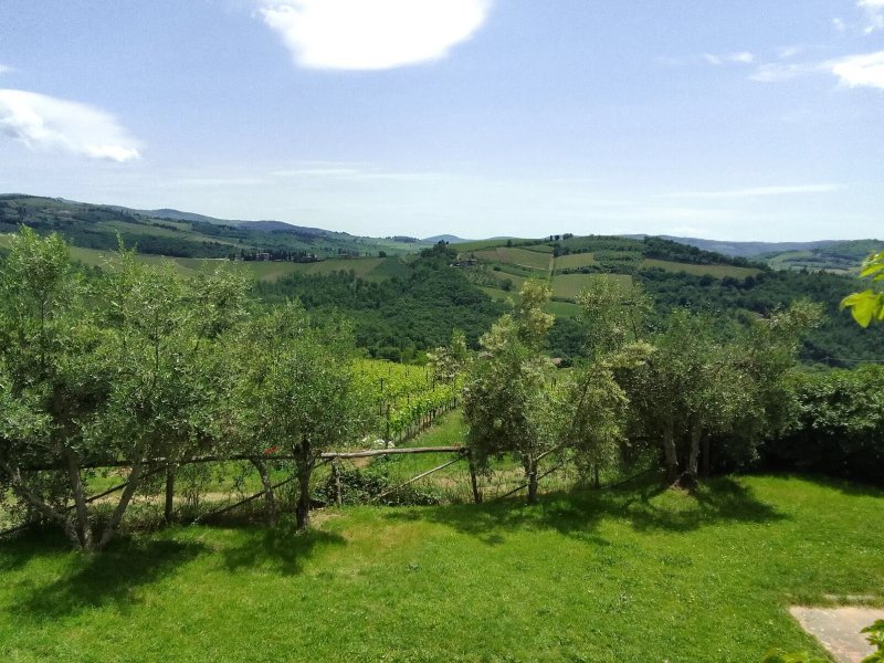 La Cantinetta di Rignana