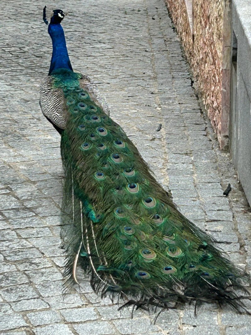 Sintra Marmoris Palace