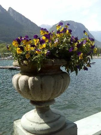 Hotel La Perla