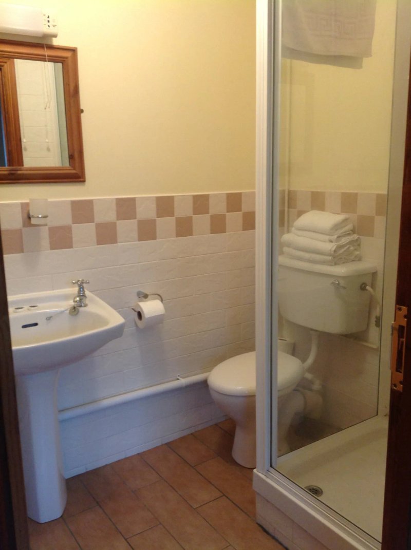 The Dillwyn Arms Hotel