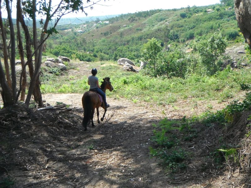 Portugal By Horse