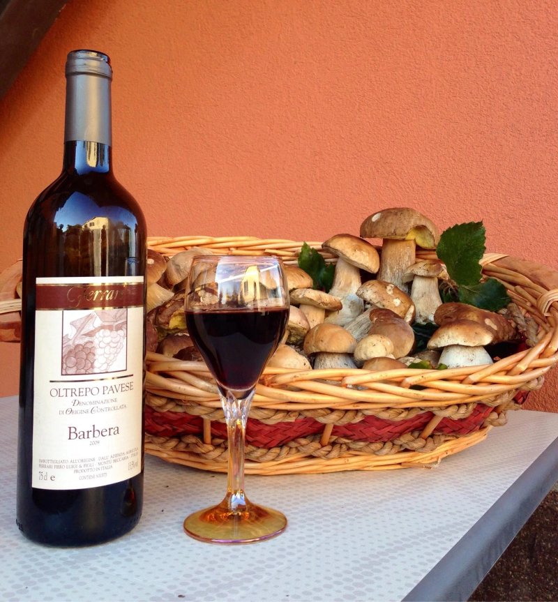 Agriturismo Ferrari
