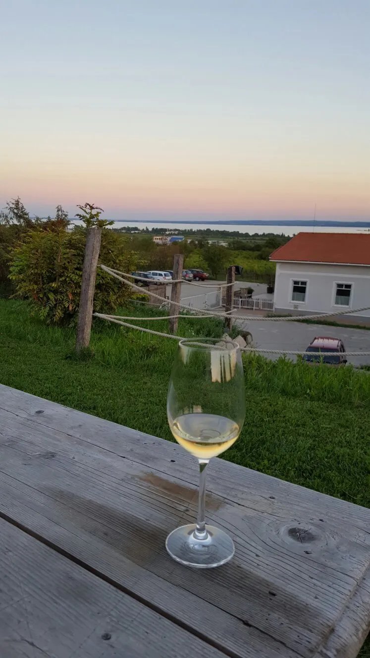 Koczor Pinceszet