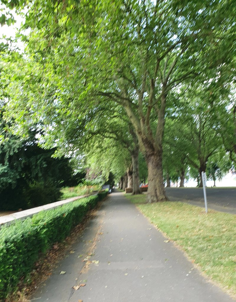 Victoria Embankment Memorial Gardens
