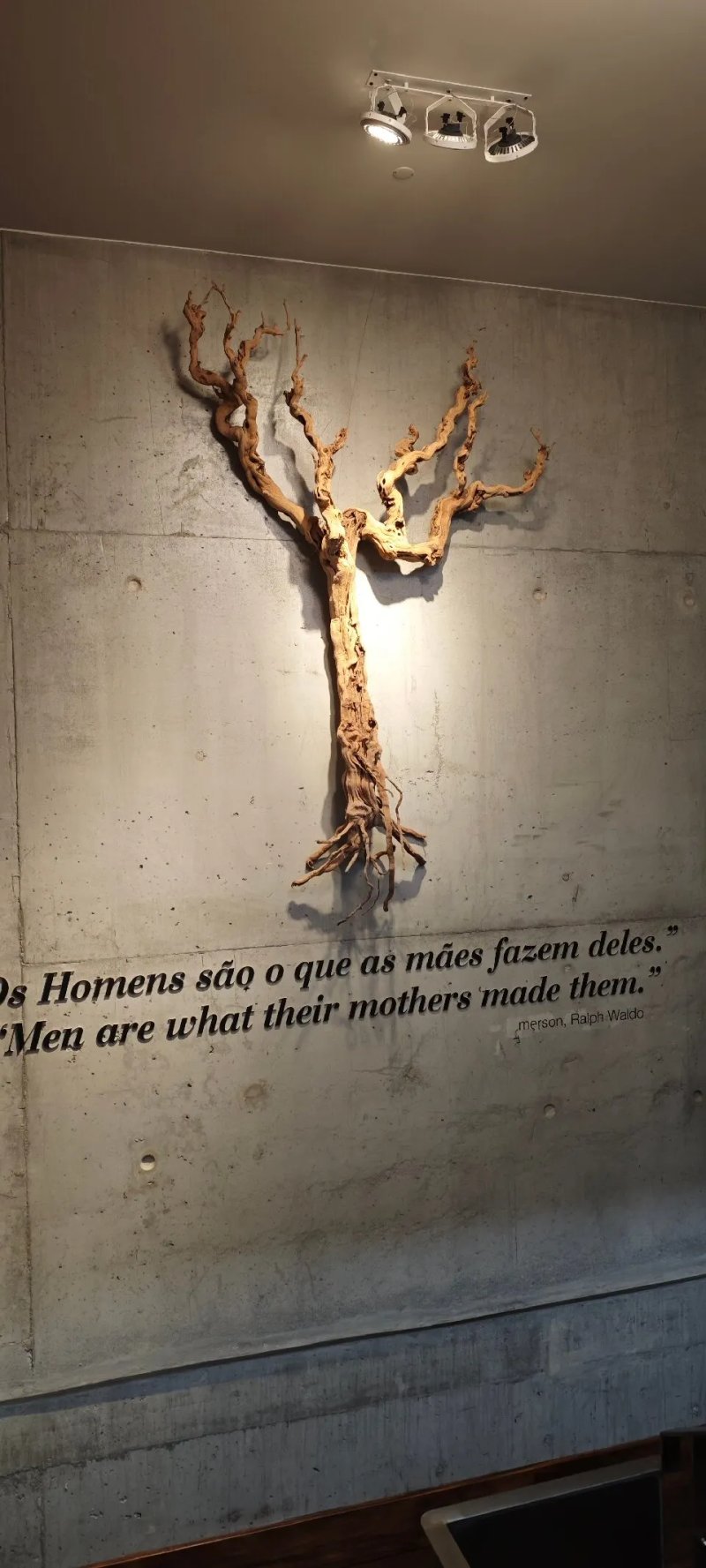 Sal na Adega