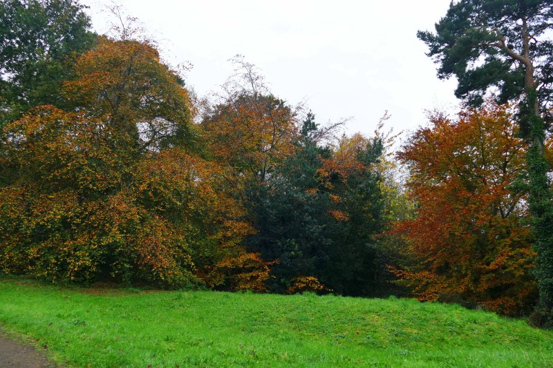 Balloo Woodland Nature Reserve