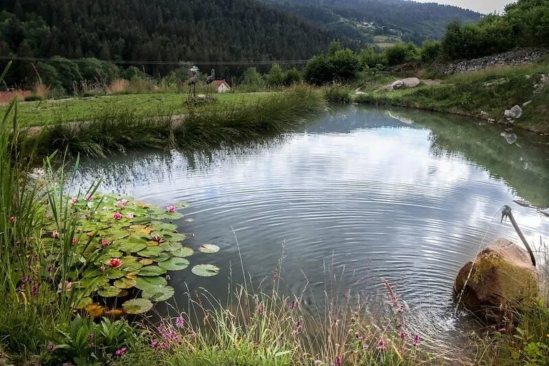 L'Evidence ***** luxury chalet: Sauna & Spa, Pond, Fitness Room & Games