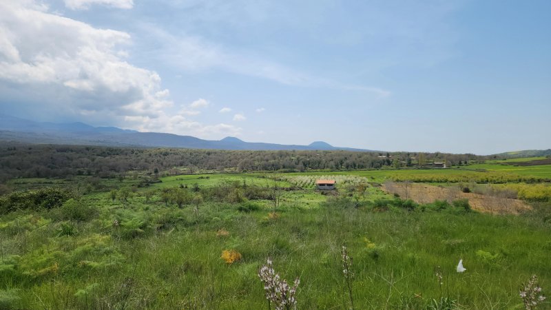 Gli Antichi Sapori