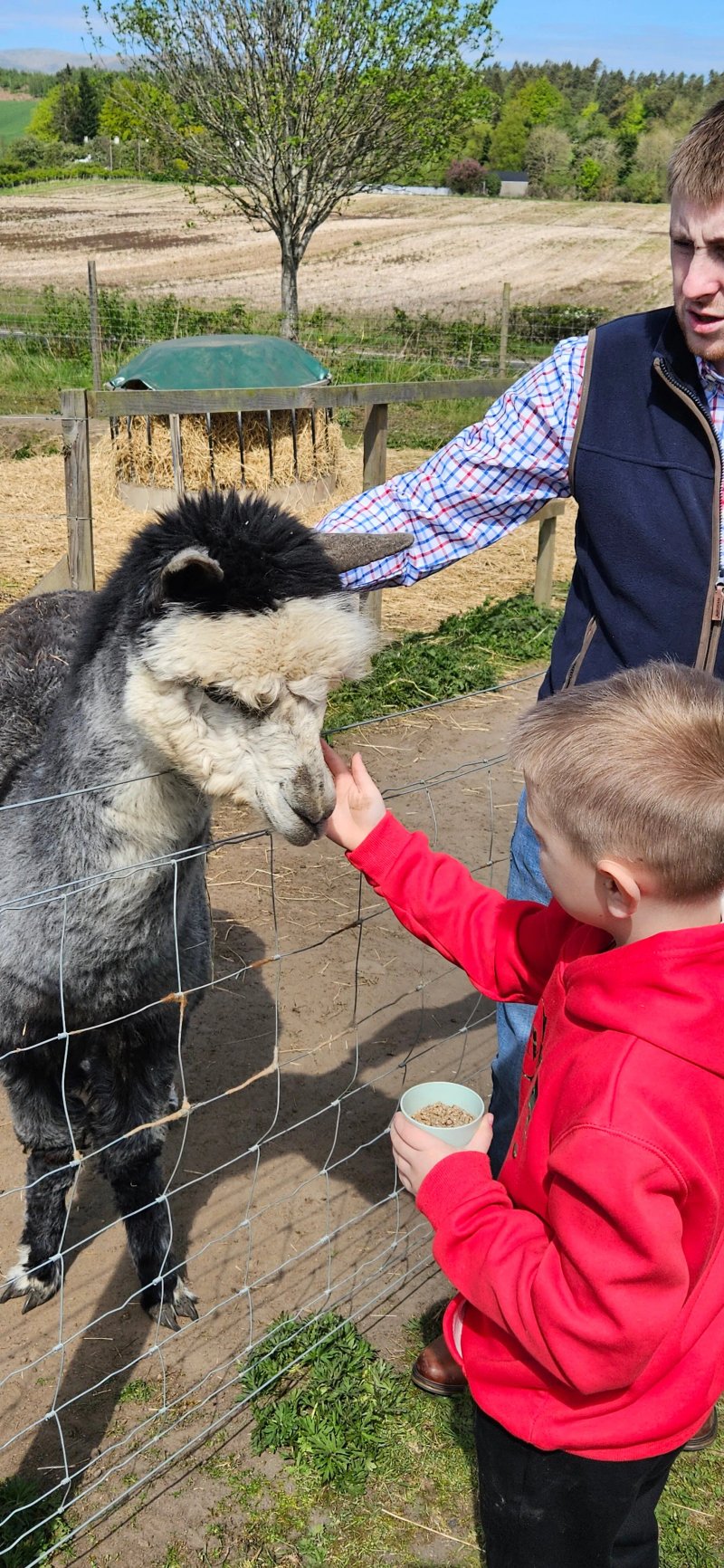Hillview Animal Park