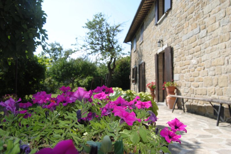 Agriturismo La Contessa Quarter Horse