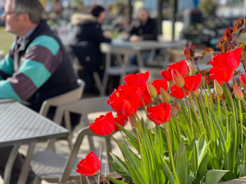 Sara's Tearoom