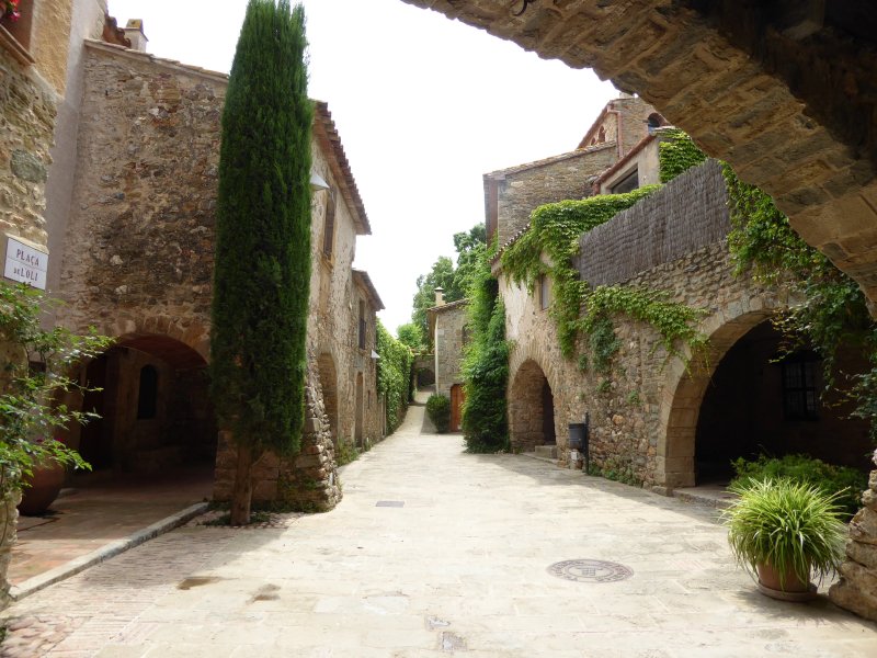 . La Neta de Ca l'Arcadi