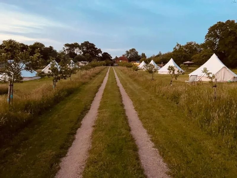 Gooseberry Field Glamping